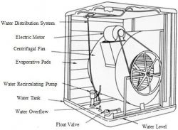 remove the casing of the cooler