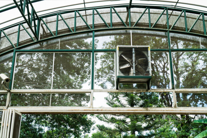 evaporative cooler for greenhouse