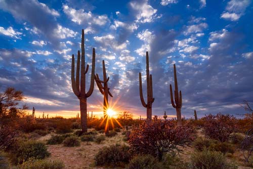 Evaporative Swamp Coolers in Tucson, AZ | Premier Industries, Inc.